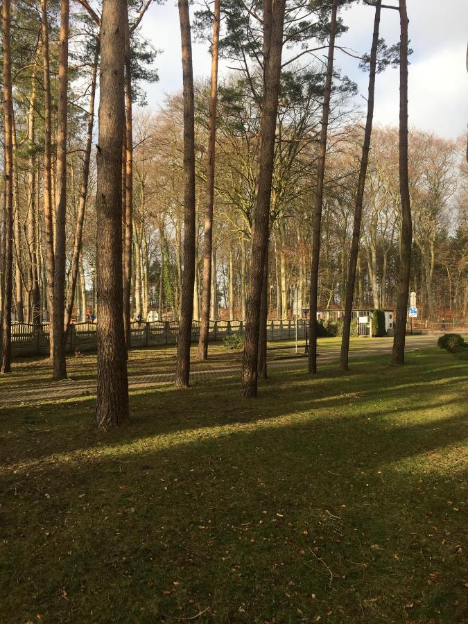 Apartament Nadmorski Sen Мендзиздрое Екстериор снимка